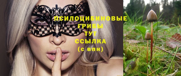бошки Семилуки