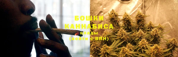 бошки Алзамай